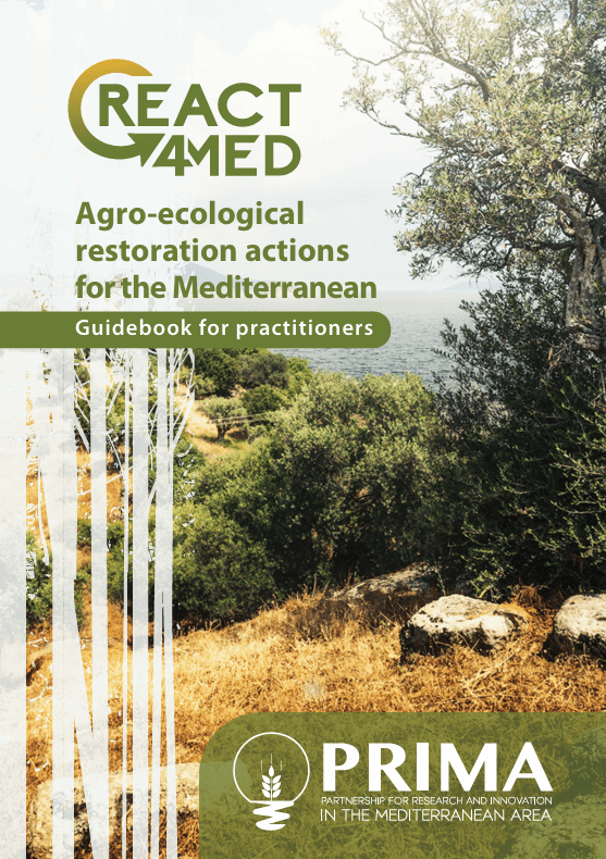 The underexploited wealth of wild Mediterranean plants