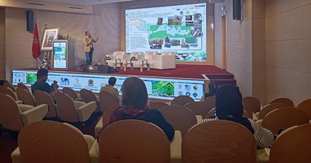 The underexploited wealth of wild Mediterranean plants