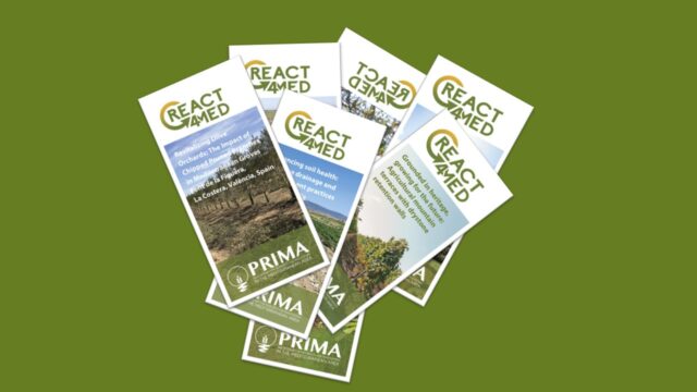 Norman Hudson award to REACT4MED partner Pandi Zdruli